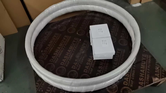Edelstahl 316 achtseckige Ring-Gelenkdichtung BX152 ASME B16.20 für API6A Rohrflansche